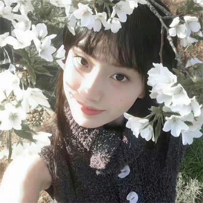 惜花芷