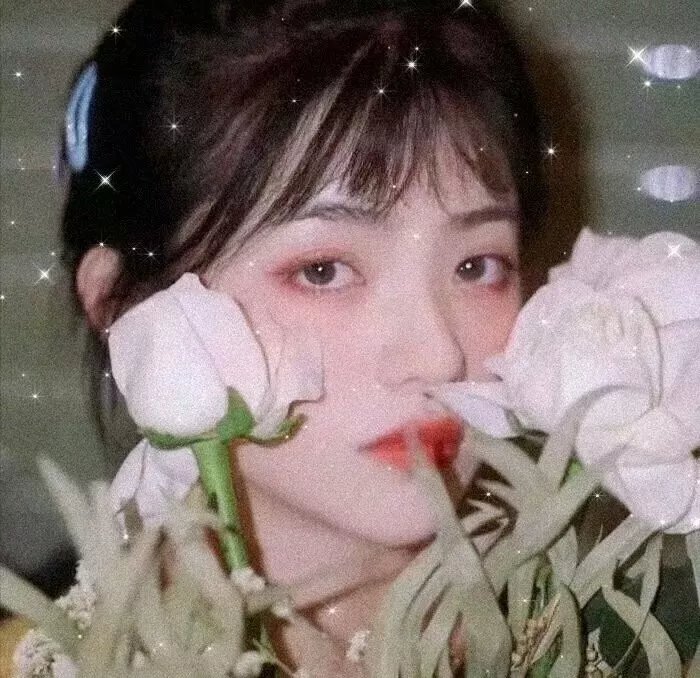 宁安如梦番外