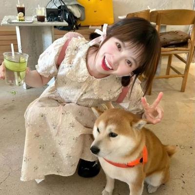 猎罪图鉴